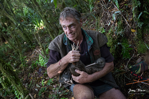 Kevin Stokes Accredited kiwi handler & trainer