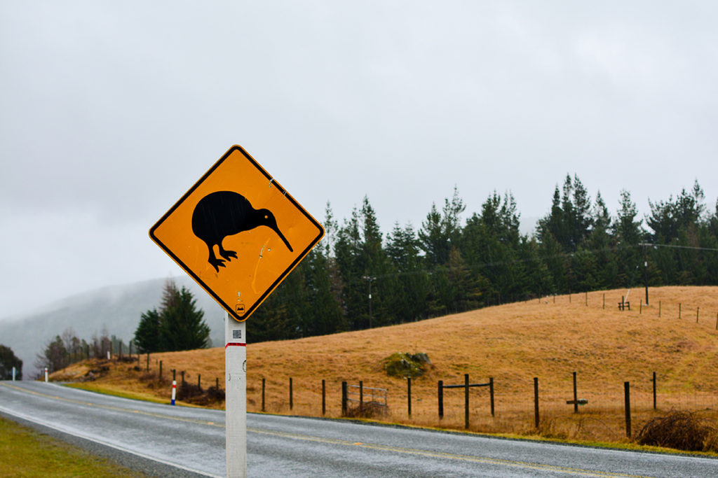 Kiwi Bird Sign