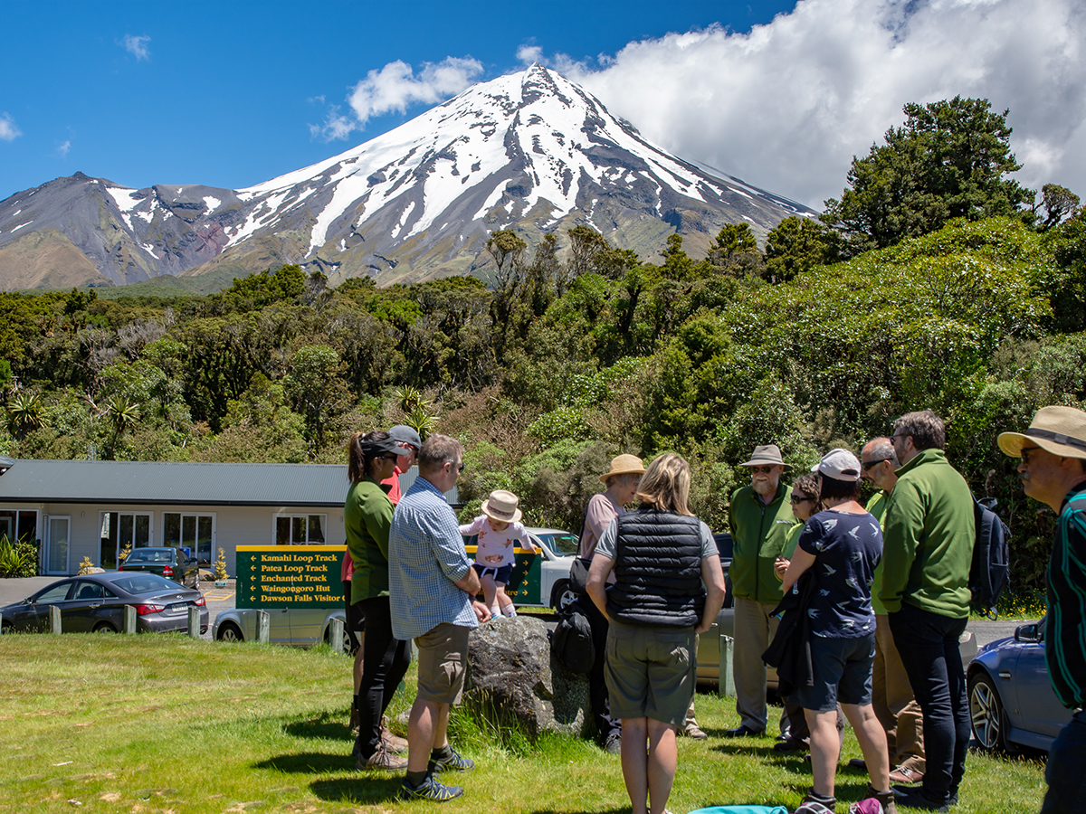 Kiwi recovery group