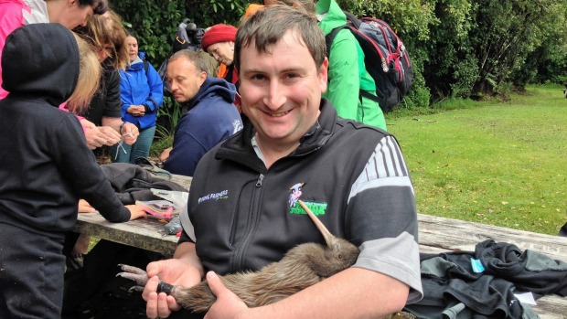 Egmont National Park gains a Rock Star kiwi